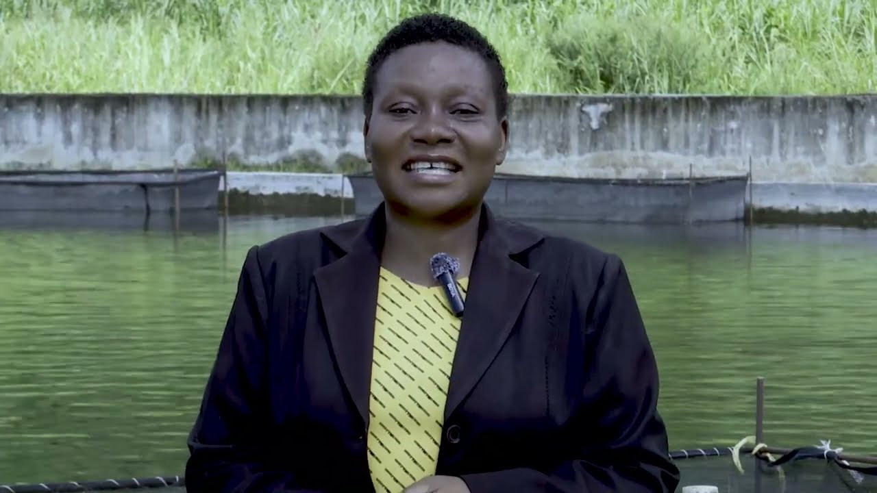 #TBC: KISHINDO UFUGAJI WA SAMAKI JKT CHITA