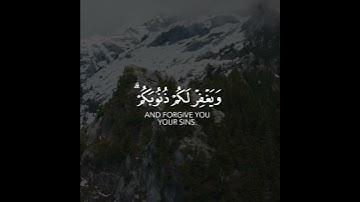 أجمل حالات واتس اب قرآن كريم بدون حقوق بصوت عبدالله الخلف | صوت خاشع يريح القلب❤😴