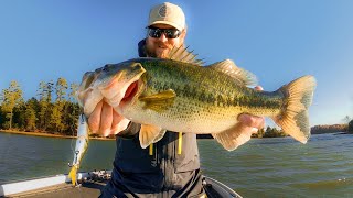 Fall Fishing For Bass Is Easy!! (Here&#39;s How We Do It)