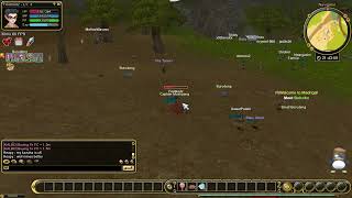 Flyff Universe New browser based tons of players screenshot 5