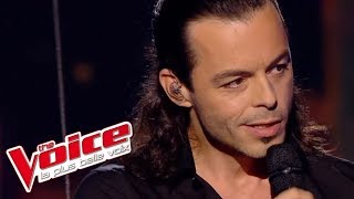The Voice 2013 | Nuno Resende - En apesanteur (Calogero) | Demi-Finale