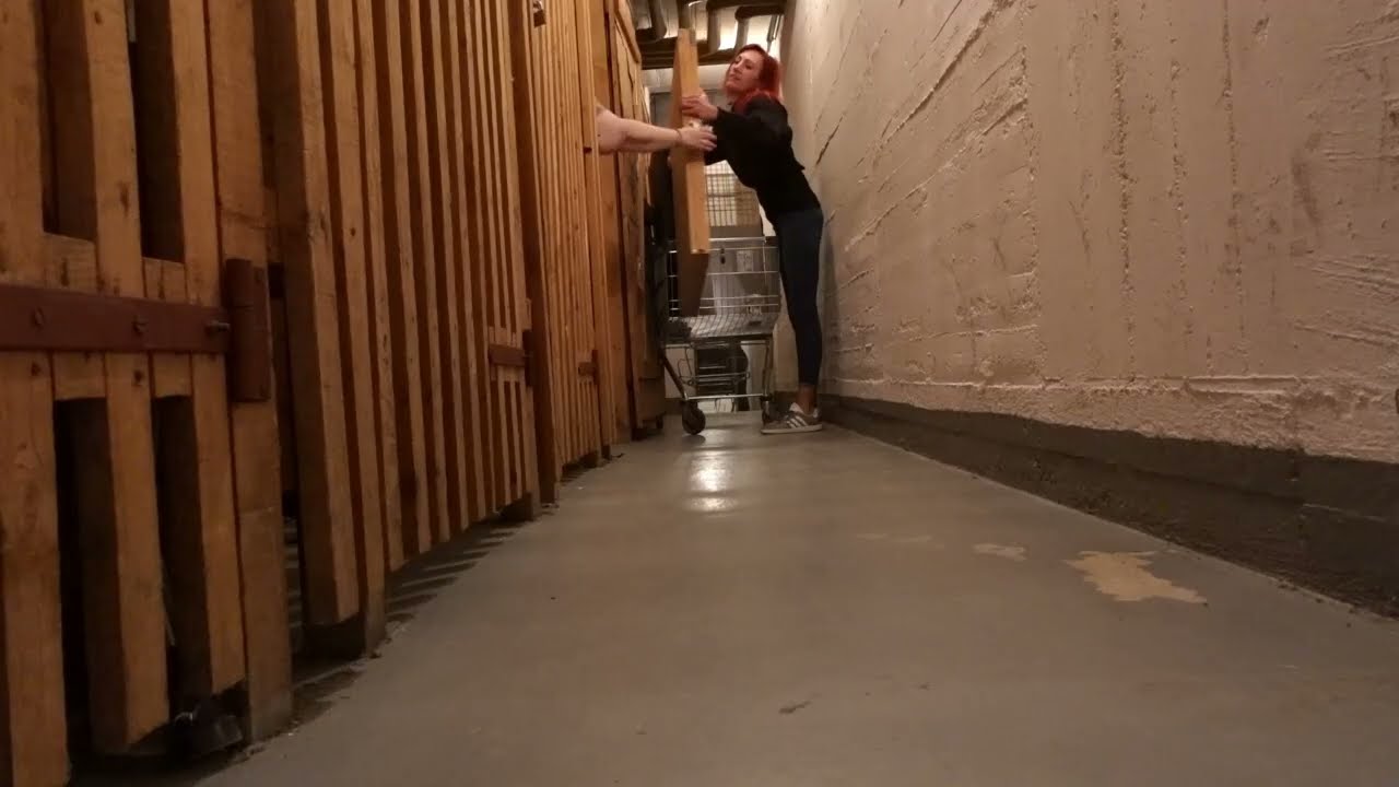 RAUPE RETTEN UND ZUM LACHEN IN DEN KELLER GEHEN #alltag #dailyvlog #vlog #xxl #hundeliebe #spazieren