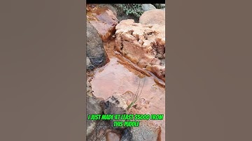 Traditional #goldmining this is how I make five thousand dollars a day #goldrush #goldpanning