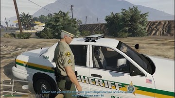 Cops In The LSPDFR Matrix EP 63