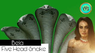 Naagin:3 Bela Five Head Snake On Green Screen || Visual VFX Studio