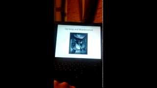 Harry Vold Rodeo Company part 2