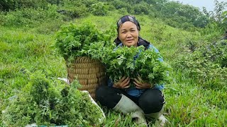 Homeless woman. Picking wild vegetables to sell for a living