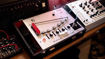 CopiCat Tape Delay feedback examples for Sean