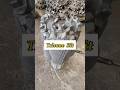 Tricone Bit.#idrillio #triconebit #drillingtools #bits #drill #shortsvideo #tools #mining #drill