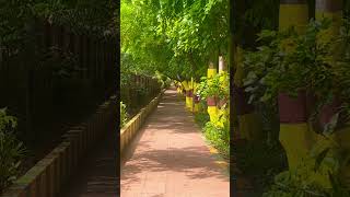 Beautiful Banglore #greenery #street #banglore #hebbal #walking