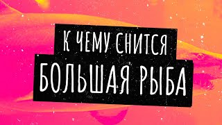 Большая рыба во сне. Сонник, толкование сна. Онлайн сонник.