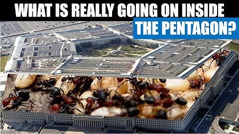 Assignment Pentagon: What Are They Really Doing?