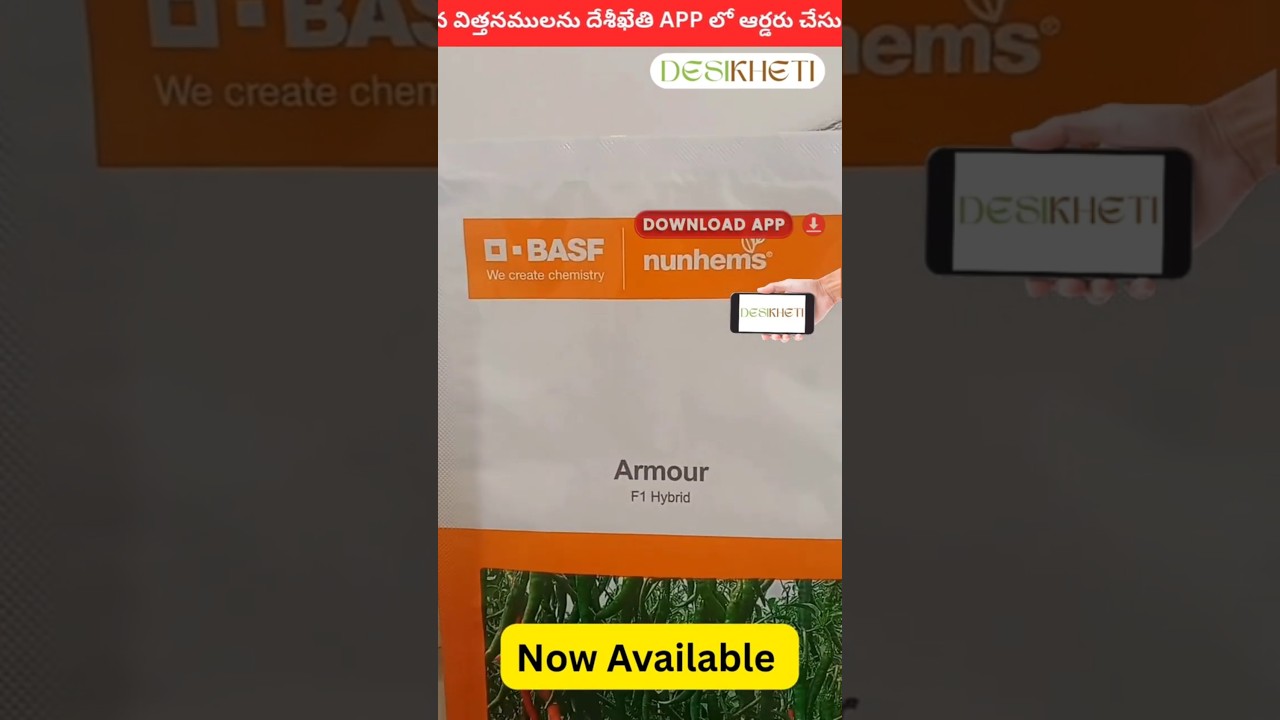 Armour Chilli seeds | Desikheti - Buy Seeds Online | Mirchi seeds