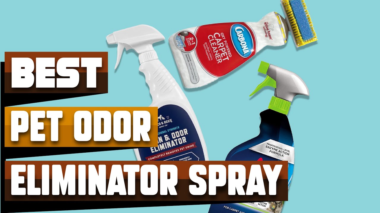 Best Pet Odor Eliminator Spray In 2023 Top 10 Pet Odor Eliminator Sprays Review YouTube