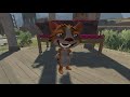 cat and dog funny carton in 3d