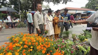 Market Reopened!🌺🪴 Poinsettia Chandramallika & Winter Flowers at Galiffstreet | Best Flowers Forever