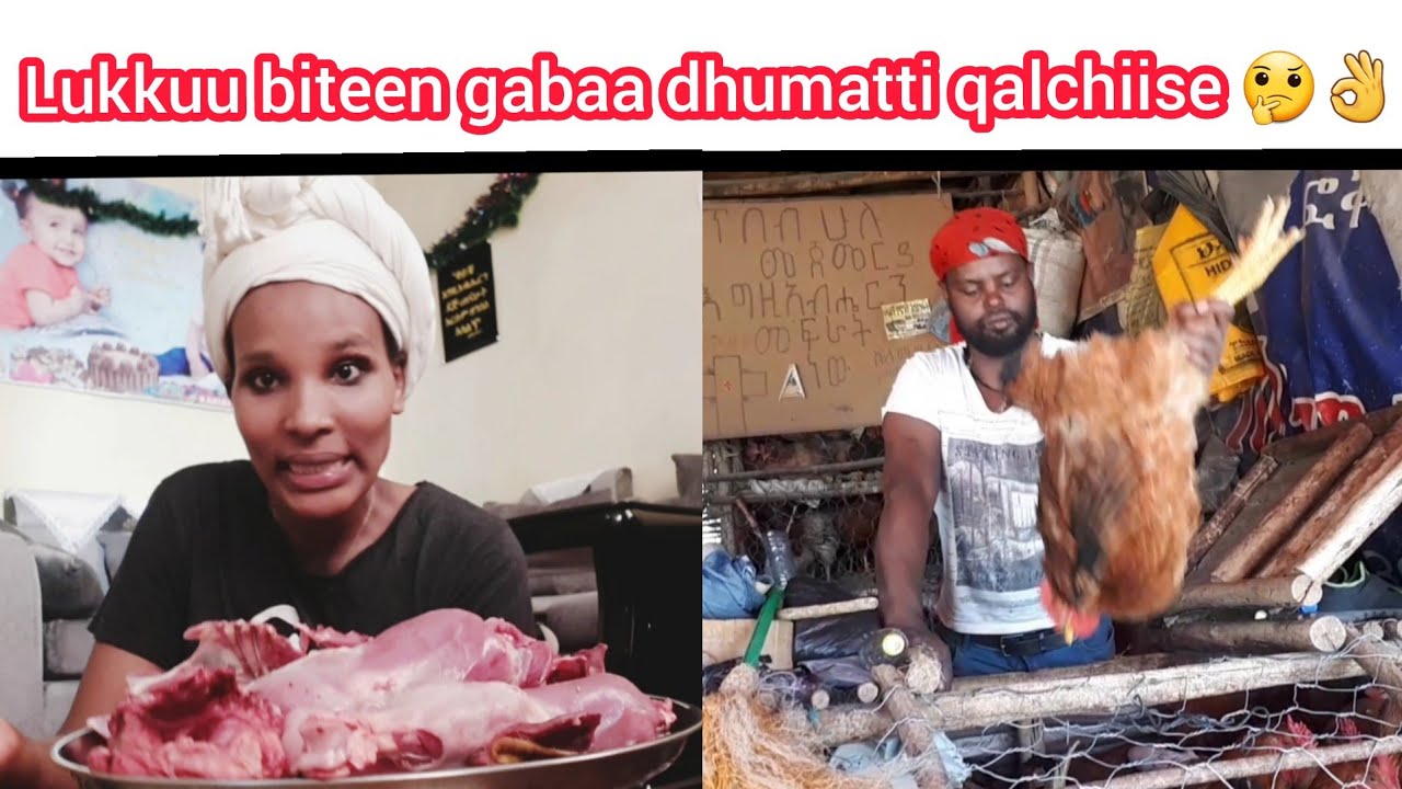 Lukkuu biteen gabaa dhumatti qalchiisee foon ishee qofa fudhee gale 🤔