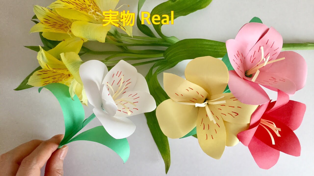 コピー用紙 アルストロメリア Paper Flower Alstromeria Peruvian Lily Youtube コピー用紙 アルストロメリア Paper Flower Alstromeria Peruvian Lily Youtube