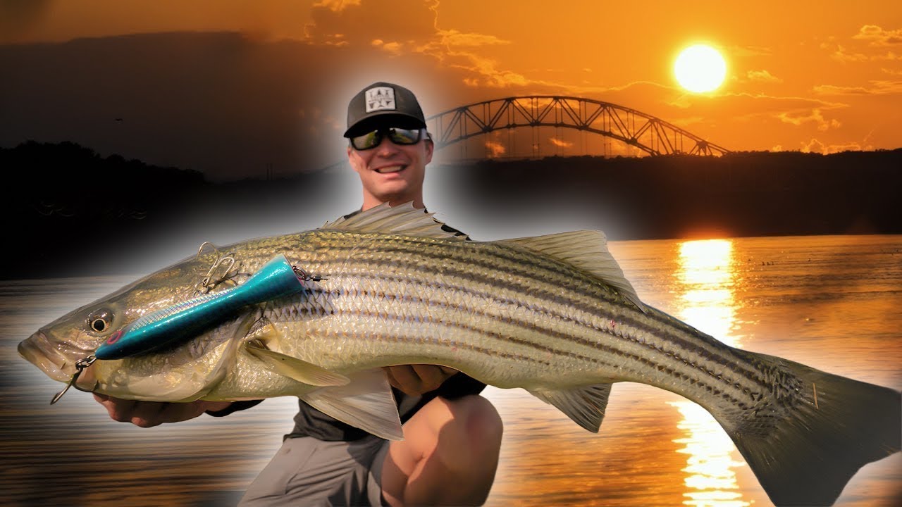 Cape Cod Canal MONSTERS on Topwater! (New PB!)