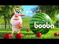 Booba ⭐ New 🍉 Watermelon 😉 All episodes collection 💚 Moolt Kids Toons Happy Bear