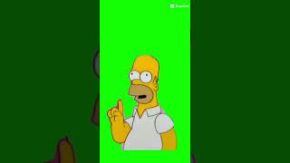 homer drooling green screen