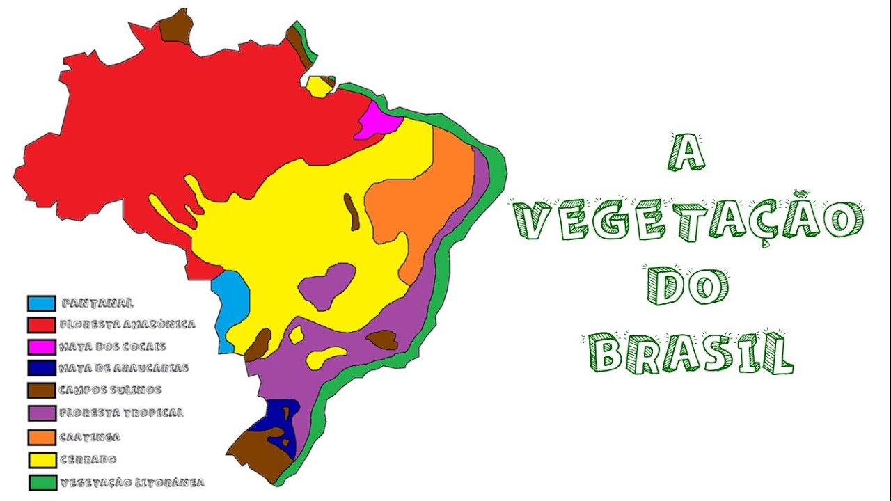 vegetação do Brasil - Geografia