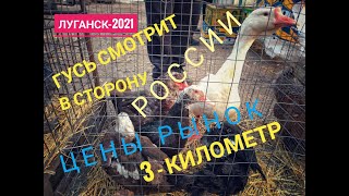 Смотрите, очень интересное видео, цены на продукты /Луганск Крым Евпатория /20.02.2021