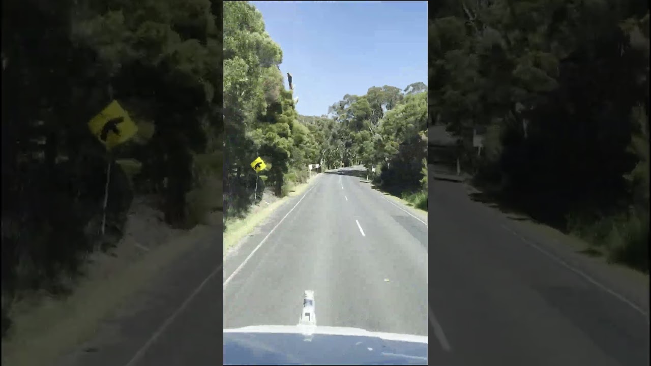 Melancholic on a Beautiful Day