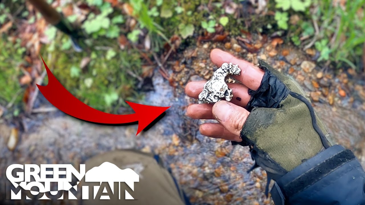 Нашел ли я что-то от метеоритного дождя?