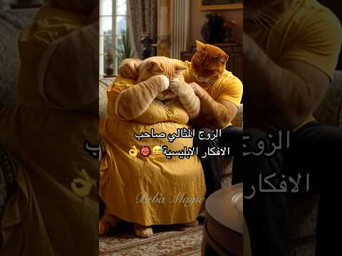 زعل عليها زوجها وقرر يلاقيلها الحل لايفوتكم     ضحك شورت قطط كوميديات