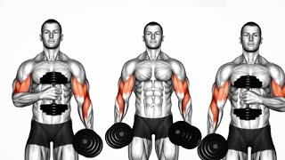 Biceps Workout 6 Essential Exercises to build Strong Bicep
