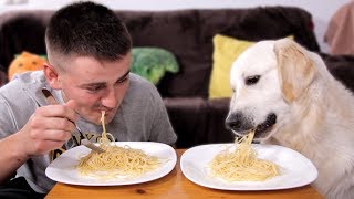 Spaghetti Eating Competition: My Golden Retriever Dog vs. Me