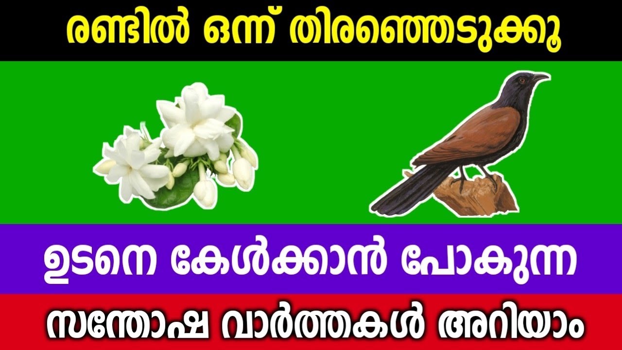 രണ്ടിൽ ഒന്ന് തൊടൂ... ഉടനെ ഒരു സന്തോഷ വാർത്ത കേൾക്കാം... തൊടുകുറി