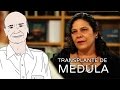 Transplante de medula óssea | Dra. Carmen Vergueiro