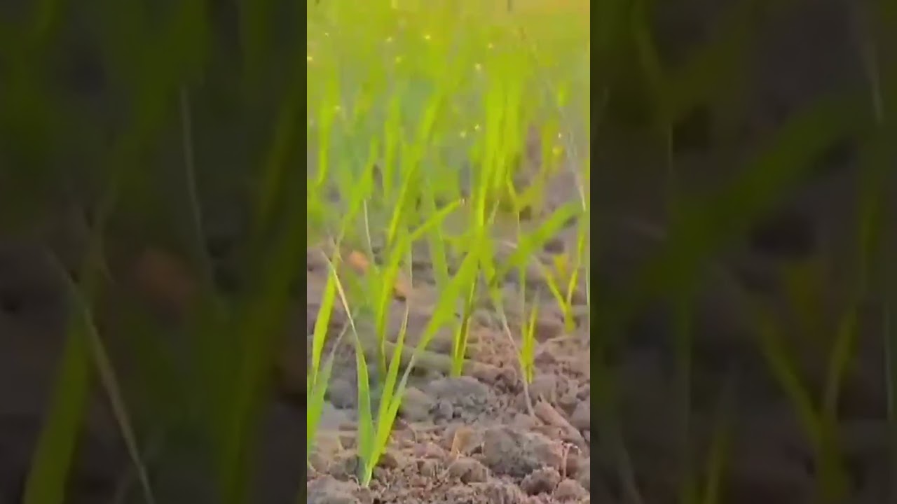 This Adventure Changed Everything – Travel With Bajwa 