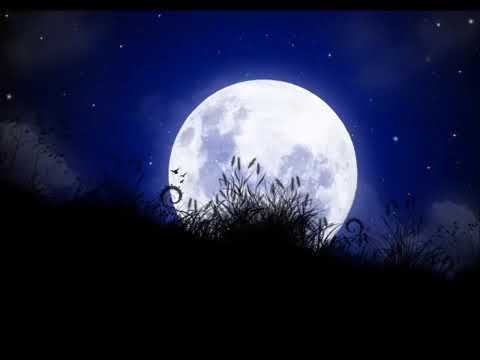 Beethoven - Moonlight Sonata (Ayışığı Sonatı) (1 haur)