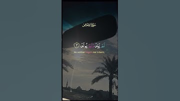 سورة الاخلاص #اكسبلور