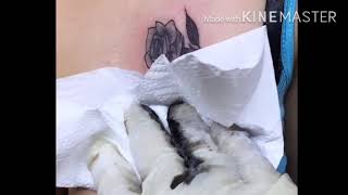 Ep45 Scorpion Rose Tattoo