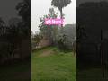 বৃষ্টি বিলাস 🌧️#shorts #foryou #trendingshorts #love #vairalshort