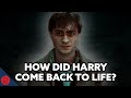 How Did Harry Come Back To Life? | Harry Potter Explained