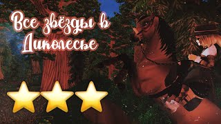 ВСЕ ЗВЁЗДЫ В ДИКОЛЕСЬЕ// Star Stable Online \\\\