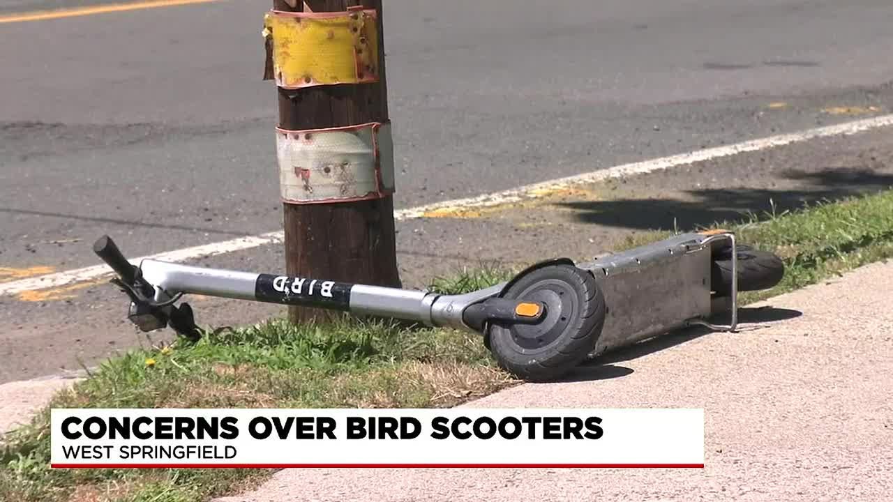 West Springfield residents concerned over Bird scooters left around town