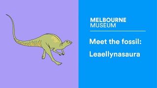 Leaellynasaura the slender polar dinosaur