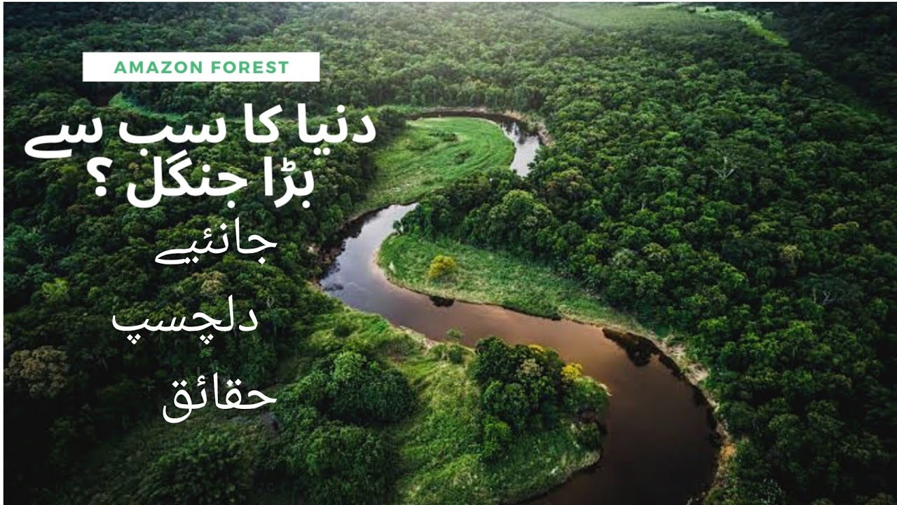 Amazon Rainforest Documentary |2021| अमेज़न वर्षावन वृत्तचित्र  