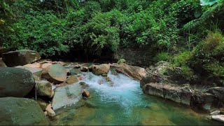 Relaxing River Sounds Emotional Therapy to Relieve Stress and Mental Disorders for Sleeping