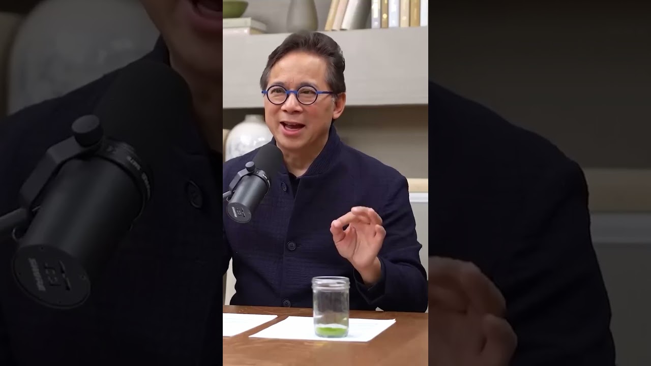 ПОЧЕМУ Я ГОВОРЮ ЛЮДЯМ ЕСТЬ ШОКОЛАД! 