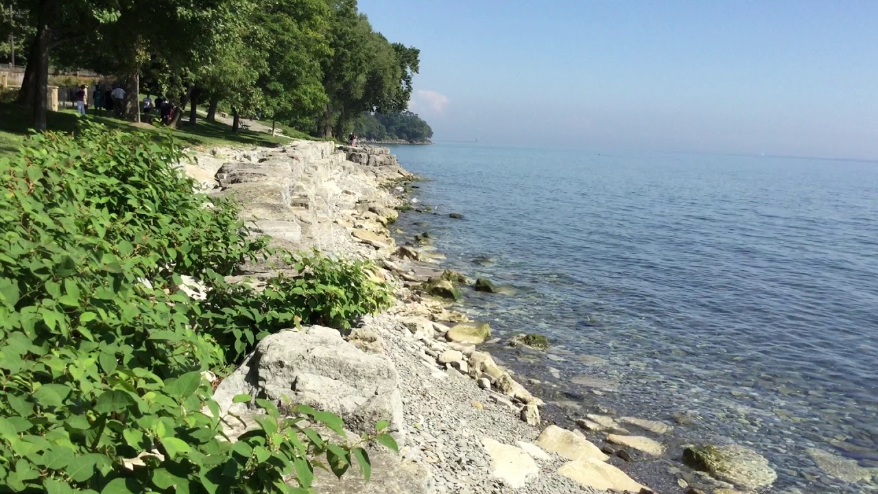 Dingle Park-Oakville