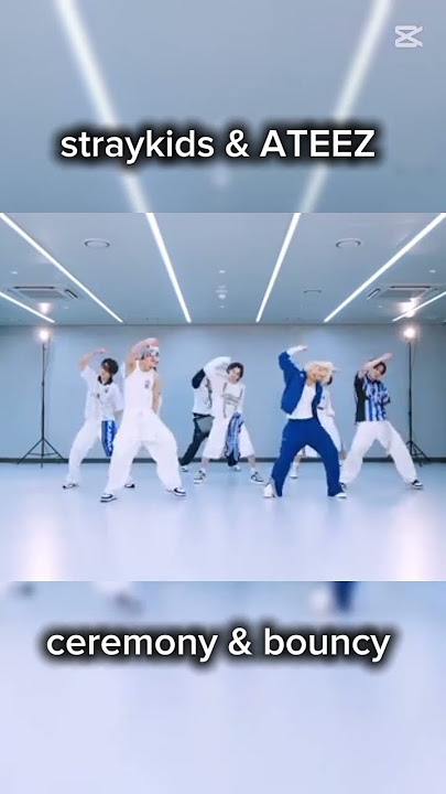 straykids & ATEEZ #ytdayibenionecikarnolur #kesfettacilll #kesfetbenidusur #
