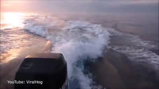 San Diego fishermen film heart-racing moment pod of killer whales chased down their boat