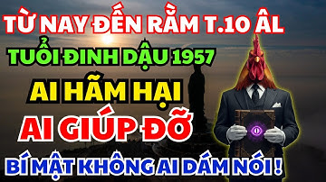 Ai Hãm Hại, Ai Giúp Đỡ Người Tuổi Đinh Dậu 1957 Từ Nay đến rằm Tháng 10 Âm lịch 2025?
